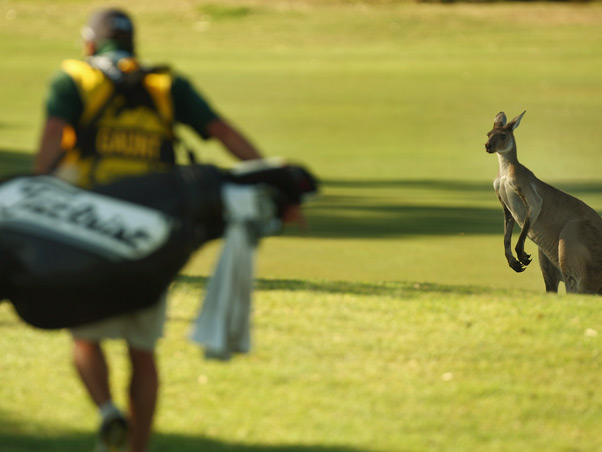 O esporte � espetacular