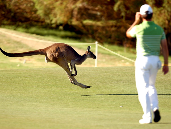 O esporte � espetacular