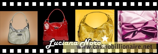 Luciana Noro: Sonhos transformados em bolsas