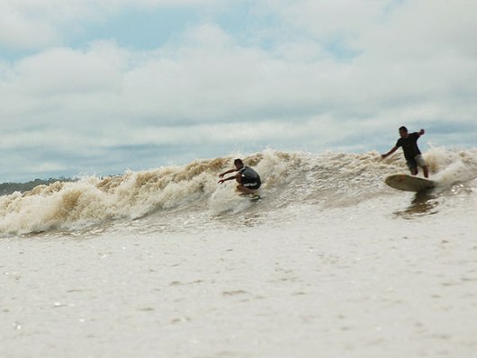 Surf na Pororoca