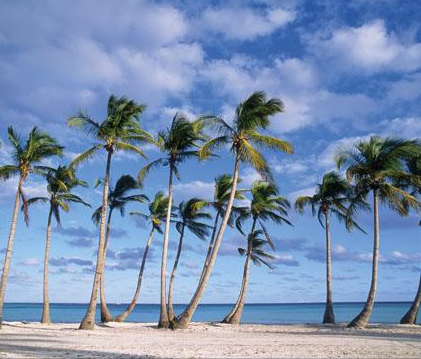 As 10 Melhores Praias do Mundo - Quais So?