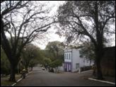DSC03050