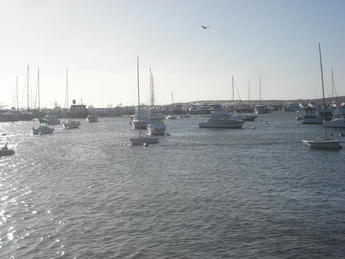 Fotos de Punta del Este