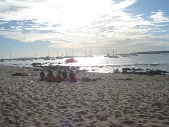 Punta del Este - ferias em Punta del Este